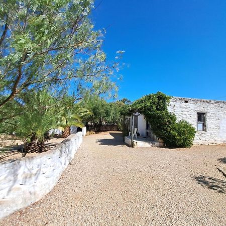 Olive Grove Cottage Koringberg المظهر الخارجي الصورة