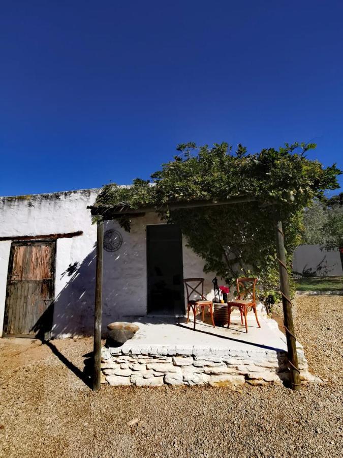 Olive Grove Cottage Koringberg المظهر الخارجي الصورة