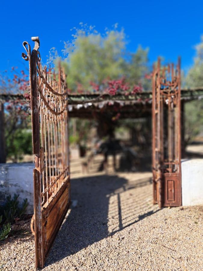 Olive Grove Cottage Koringberg المظهر الخارجي الصورة