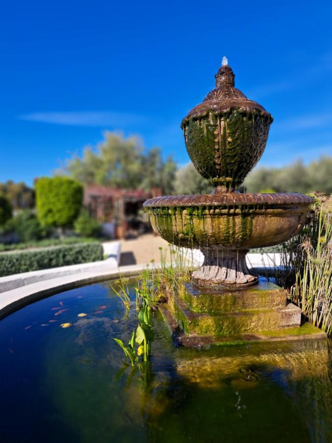 Olive Grove Cottage Koringberg المظهر الخارجي الصورة