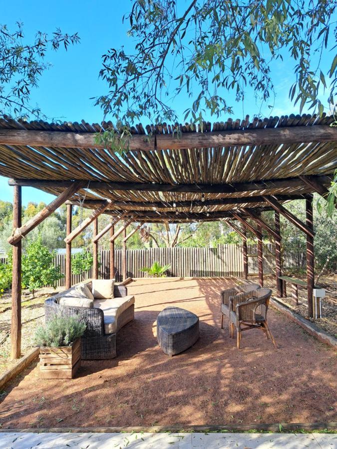 Olive Grove Cottage Koringberg المظهر الخارجي الصورة